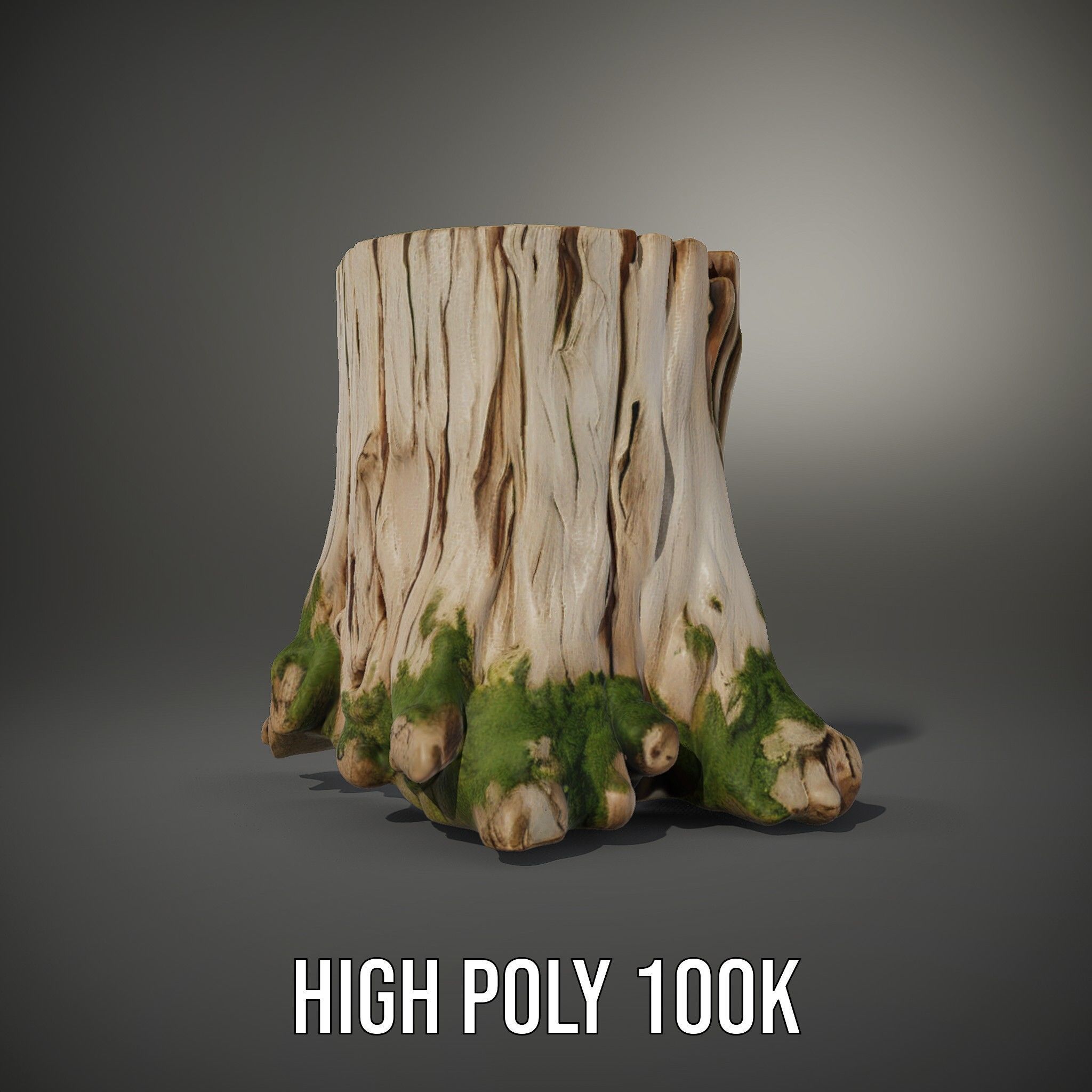 Tree Stump with Moss Model Pack for D Projects Low-poly 3D model_8