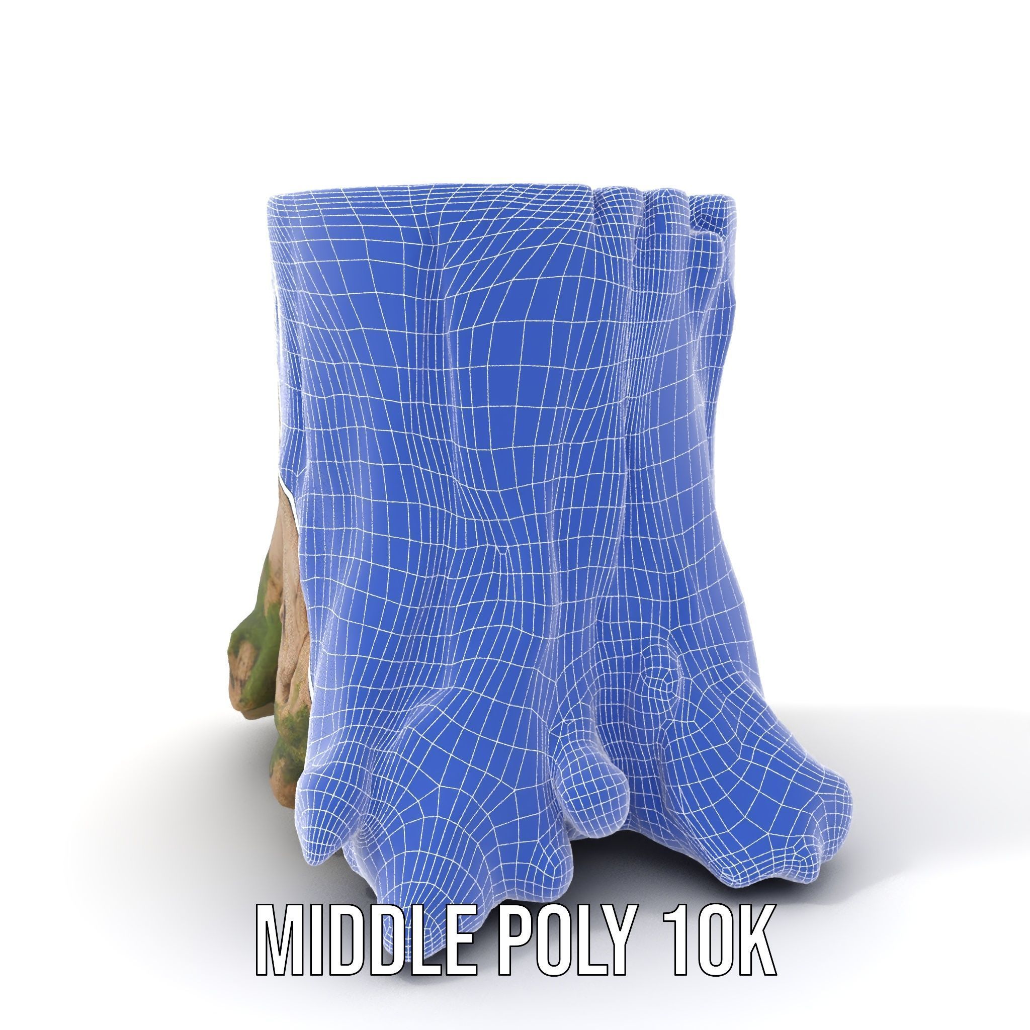 Tree Stump with Moss Model Pack for D Projects Low-poly 3D model_24