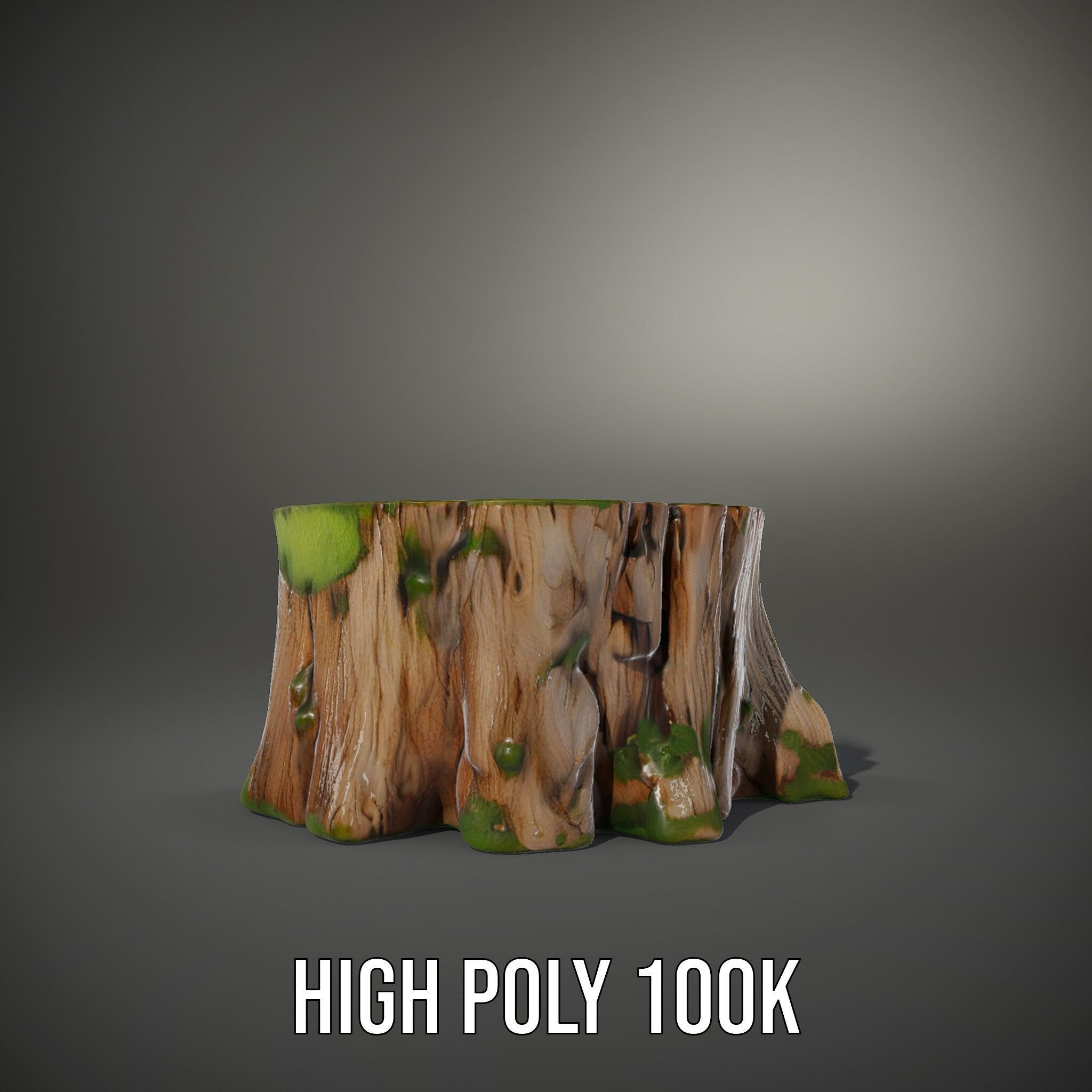 Mossy Tree Stump D Model Pack Low-poly 3D model_8