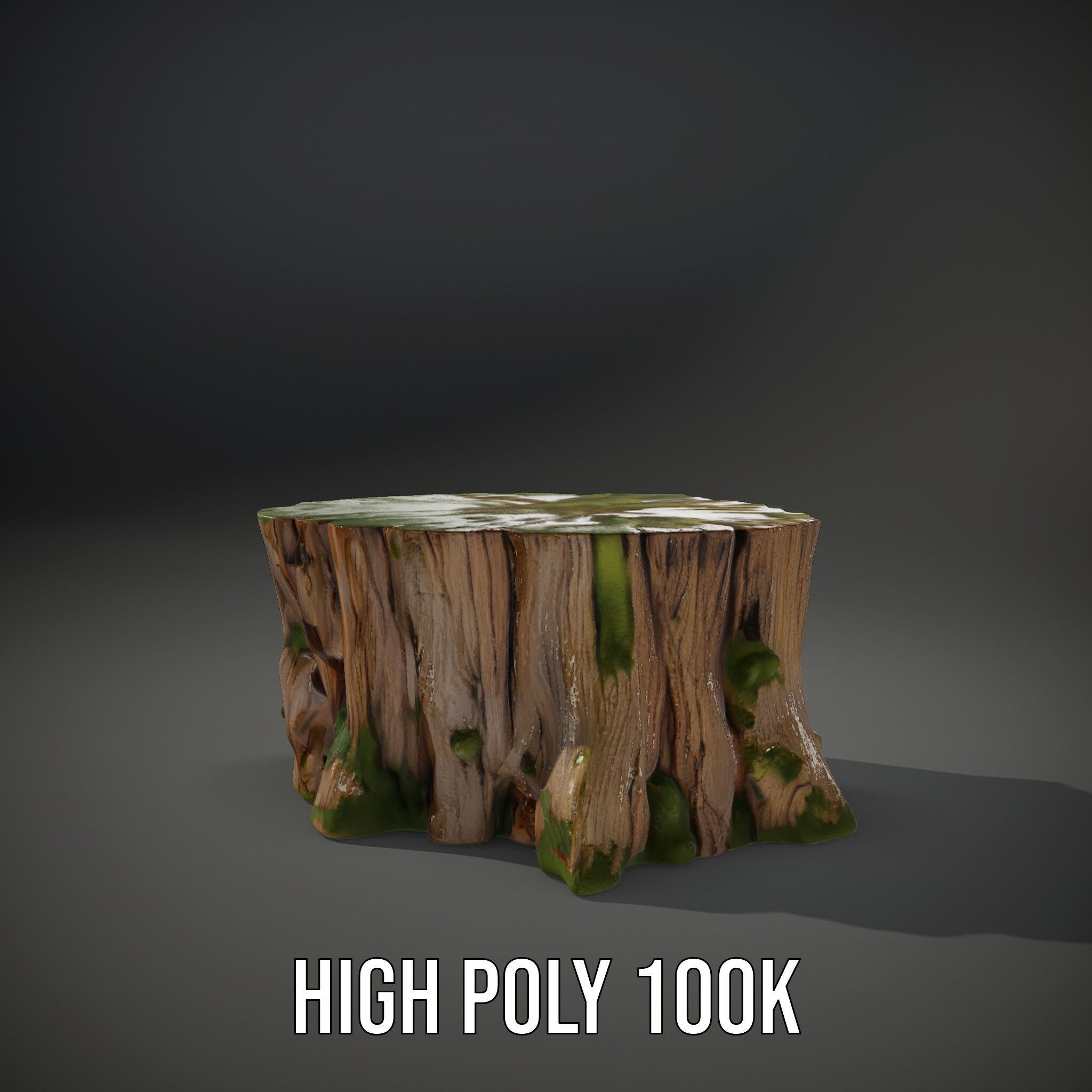 Mossy Tree Stump D Model Pack Low-poly 3D model_12