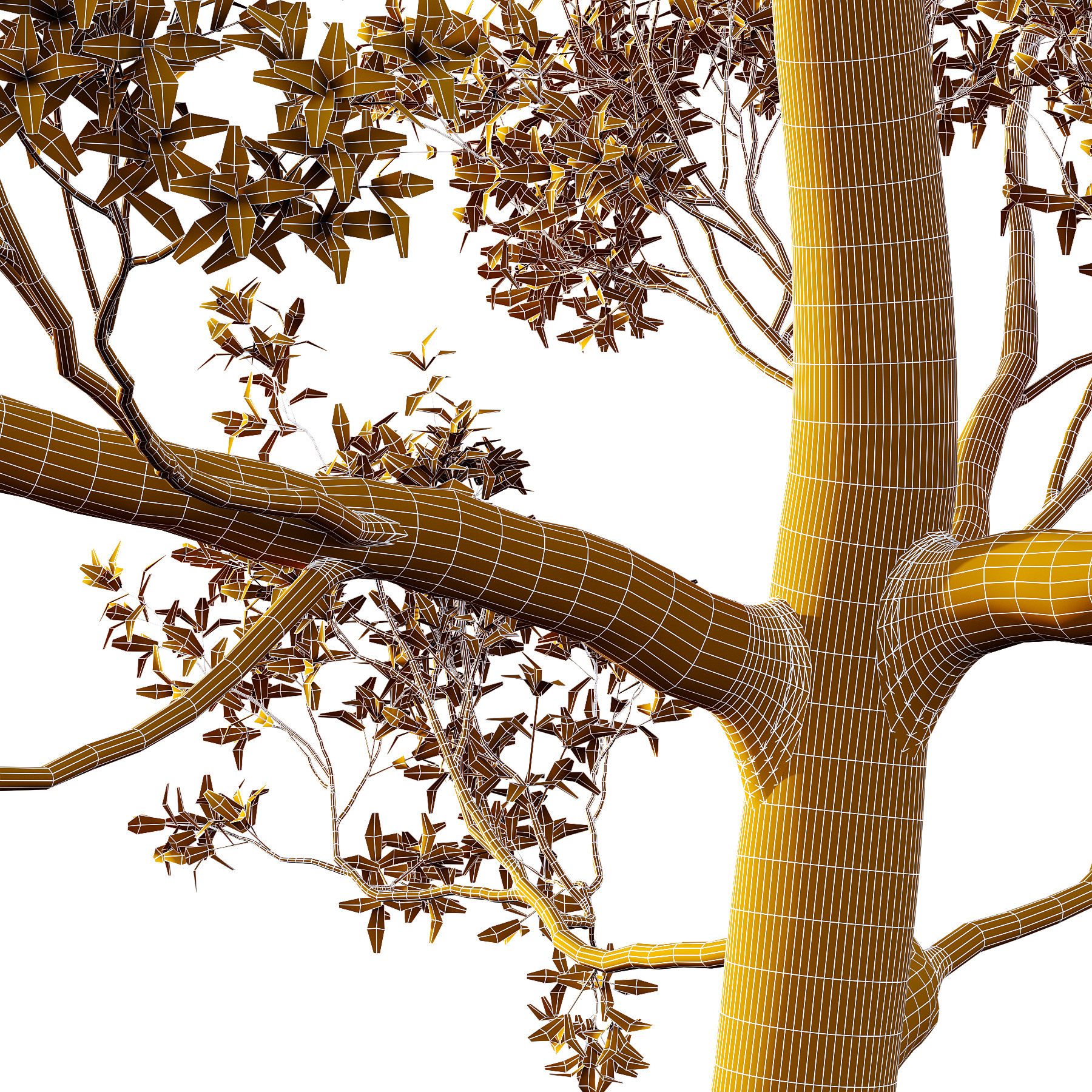 Sydney Blue Gum Tree 05 3D model_4