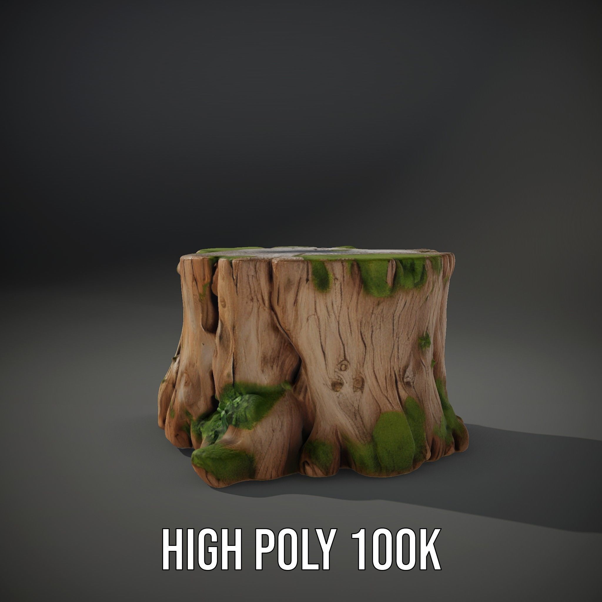 Tree Stump with Moss Model Pack Low-poly 3D model_10
