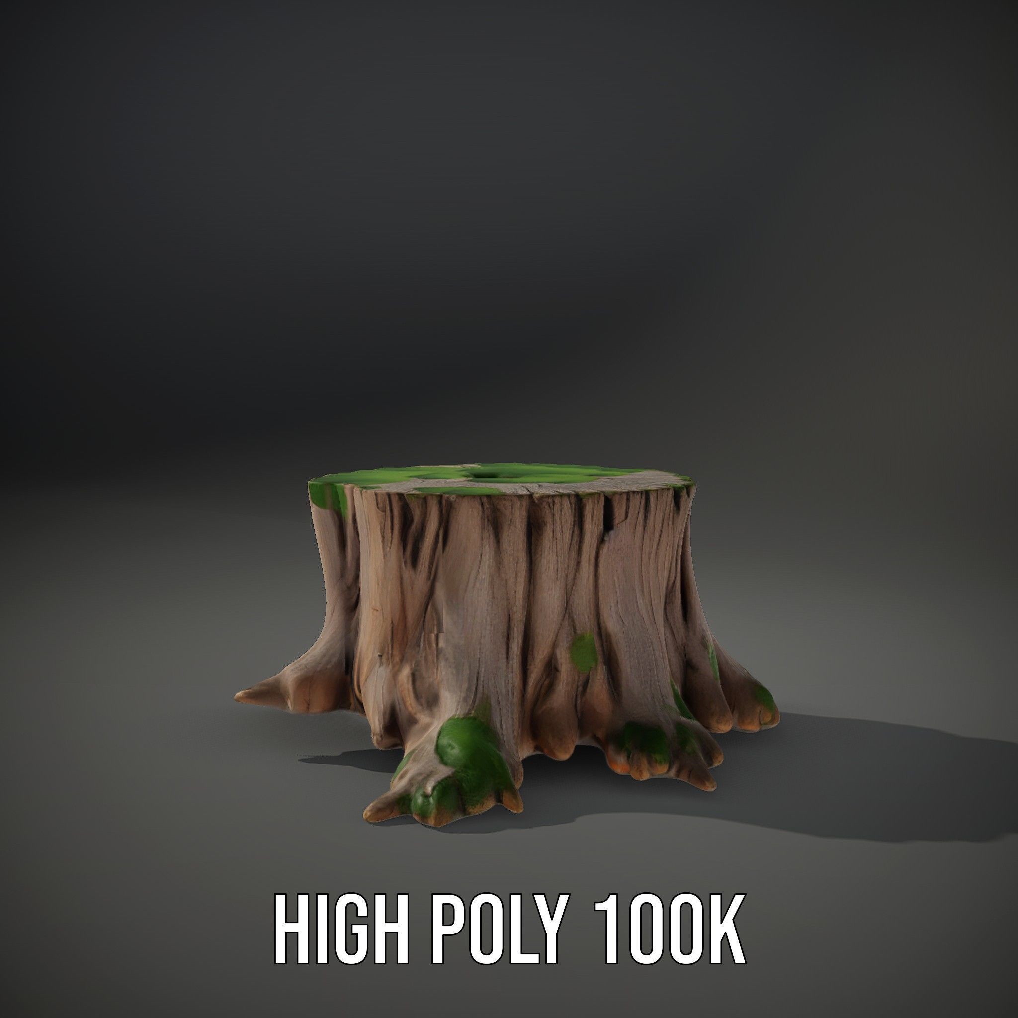 Mossy Tree Stump model pack Low-poly 3D model_10