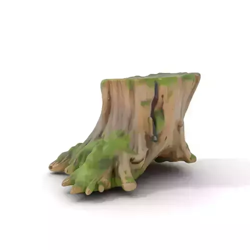 Tree Stump and Moss Model Pack for D Environments