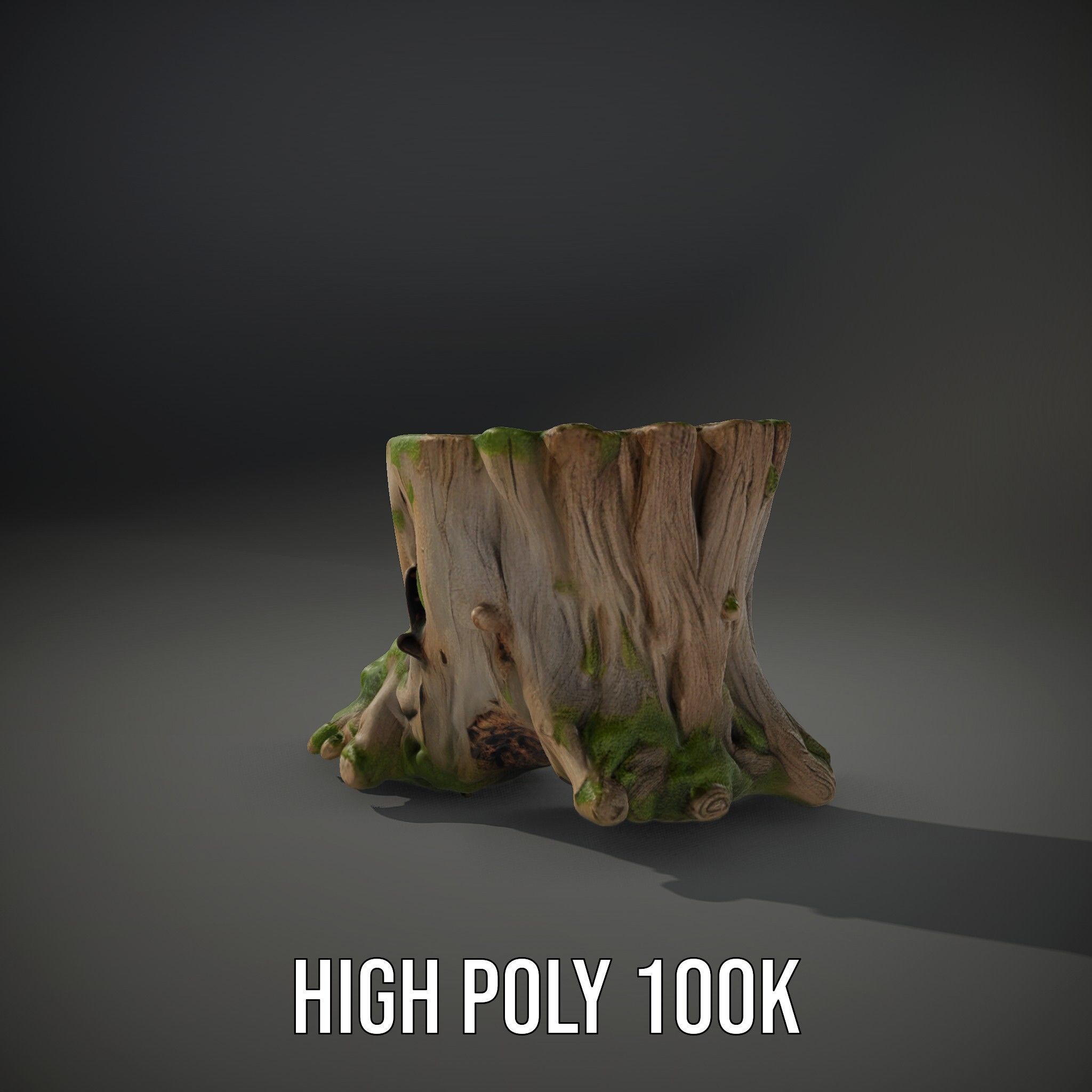 Tree Stump and Moss Model Pack for D Environments Low-poly 3D model_10