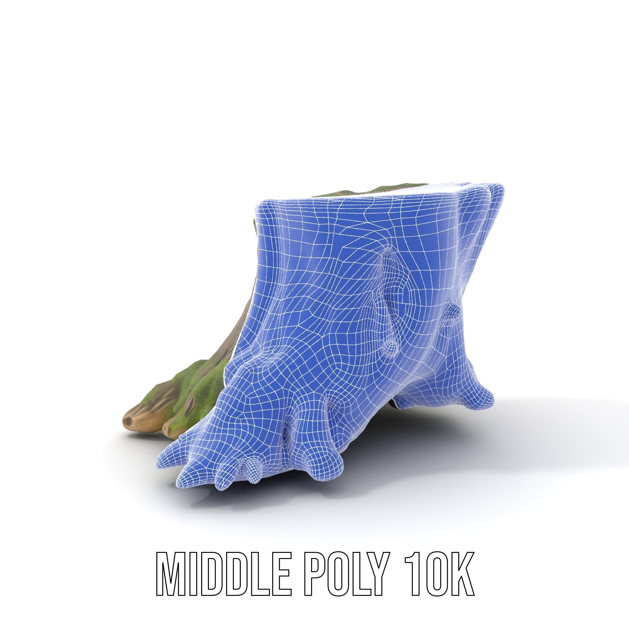 Tree Stump and Moss Model Pack for D Environments Low-poly 3D model_26