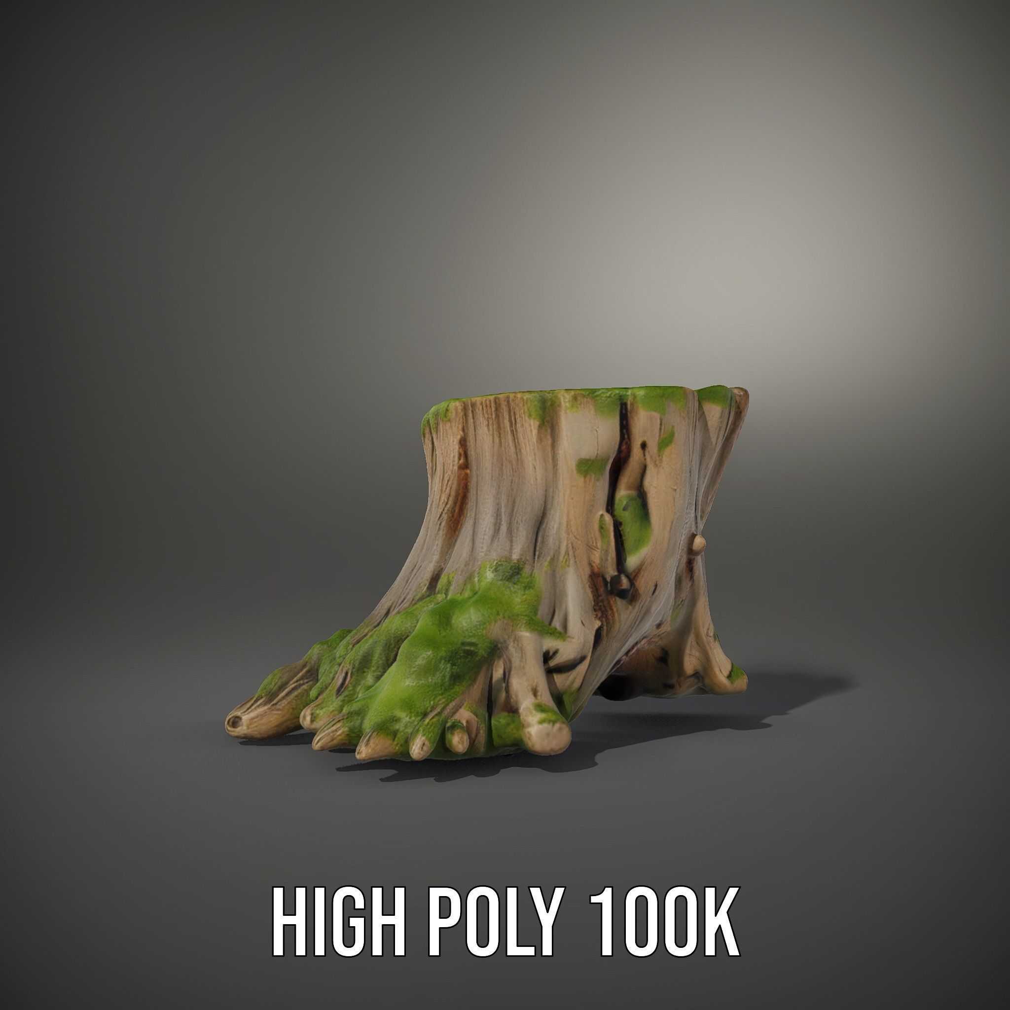 Tree Stump and Moss Model Pack for D Environments Low-poly 3D model_8