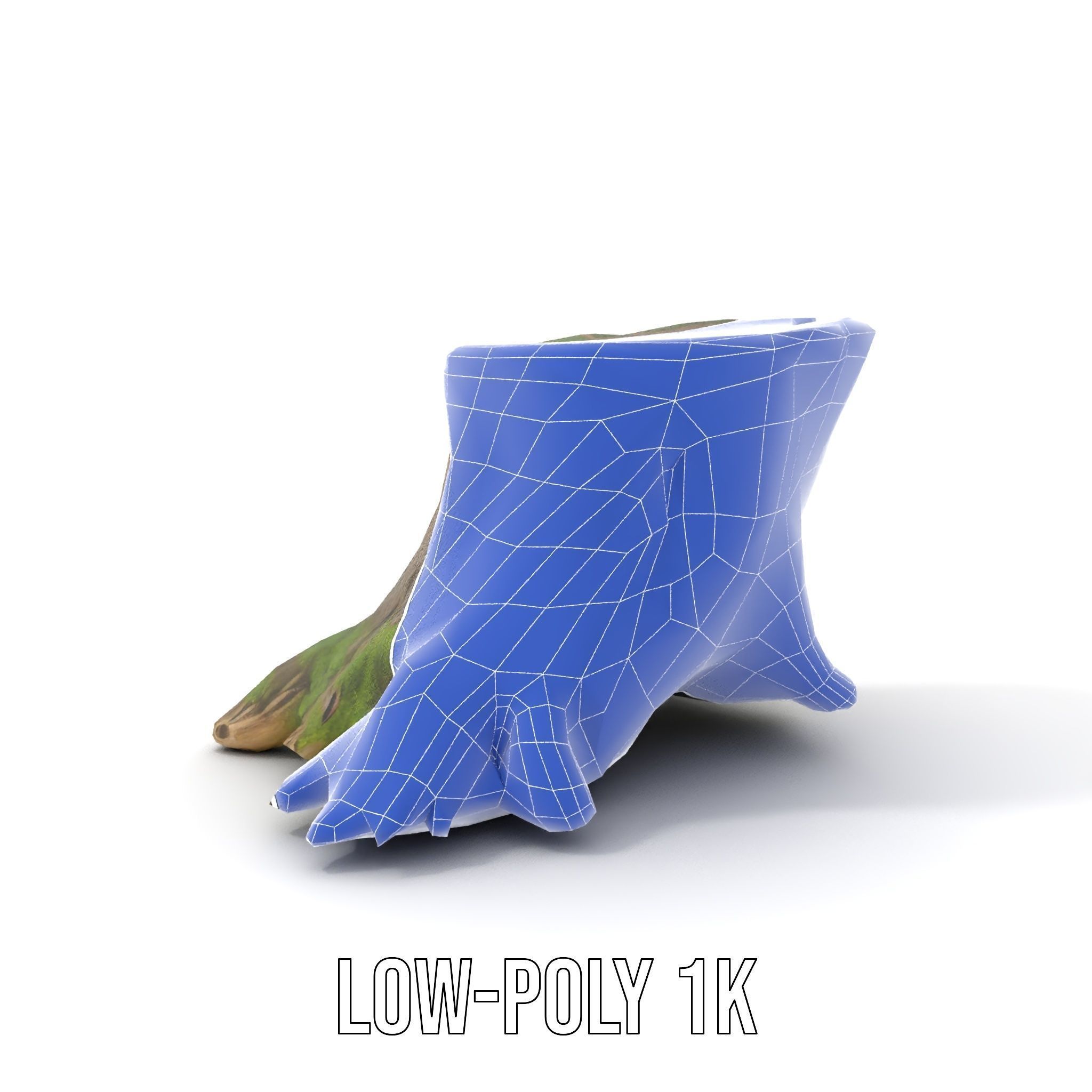 Tree Stump and Moss Model Pack for D Environments Low-poly 3D model_30