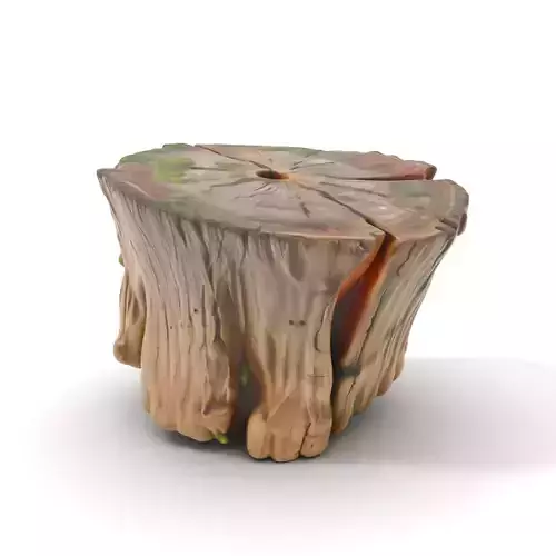 Mossy Tree Stump Model Pack with Natural Texture Low-poly 3D model