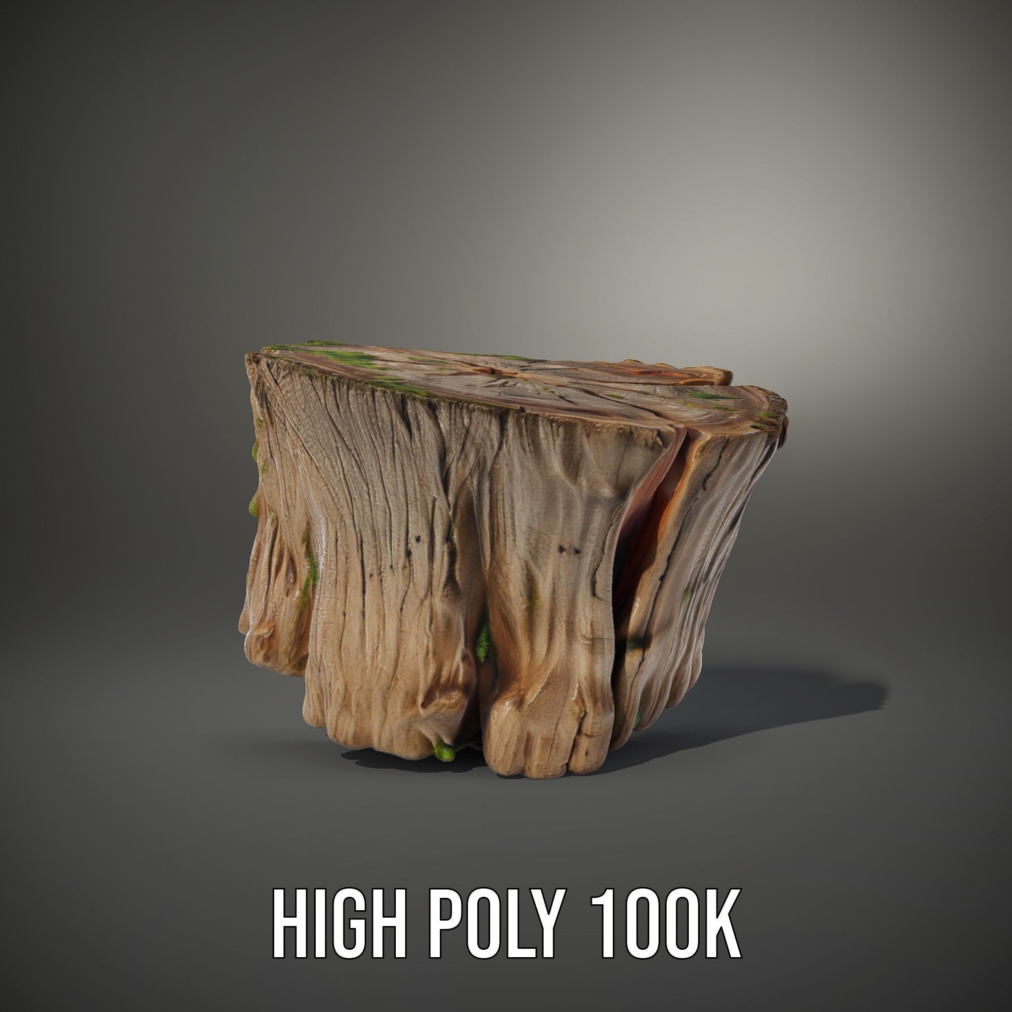 Mossy Tree Stump Model Pack with Natural Texture Low-poly 3D model_10