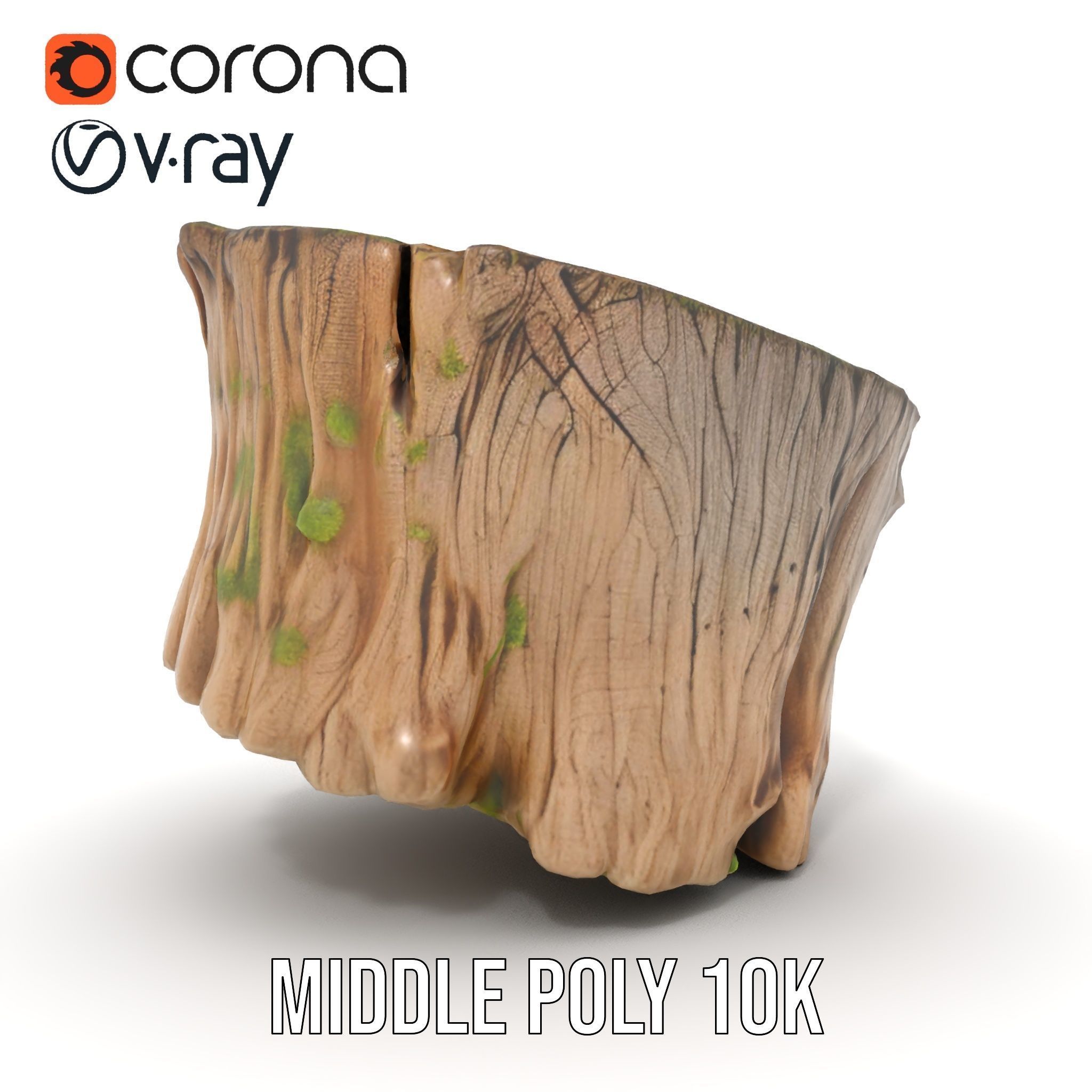 Mossy Tree Stump Model Pack with Natural Texture Low-poly 3D model_13