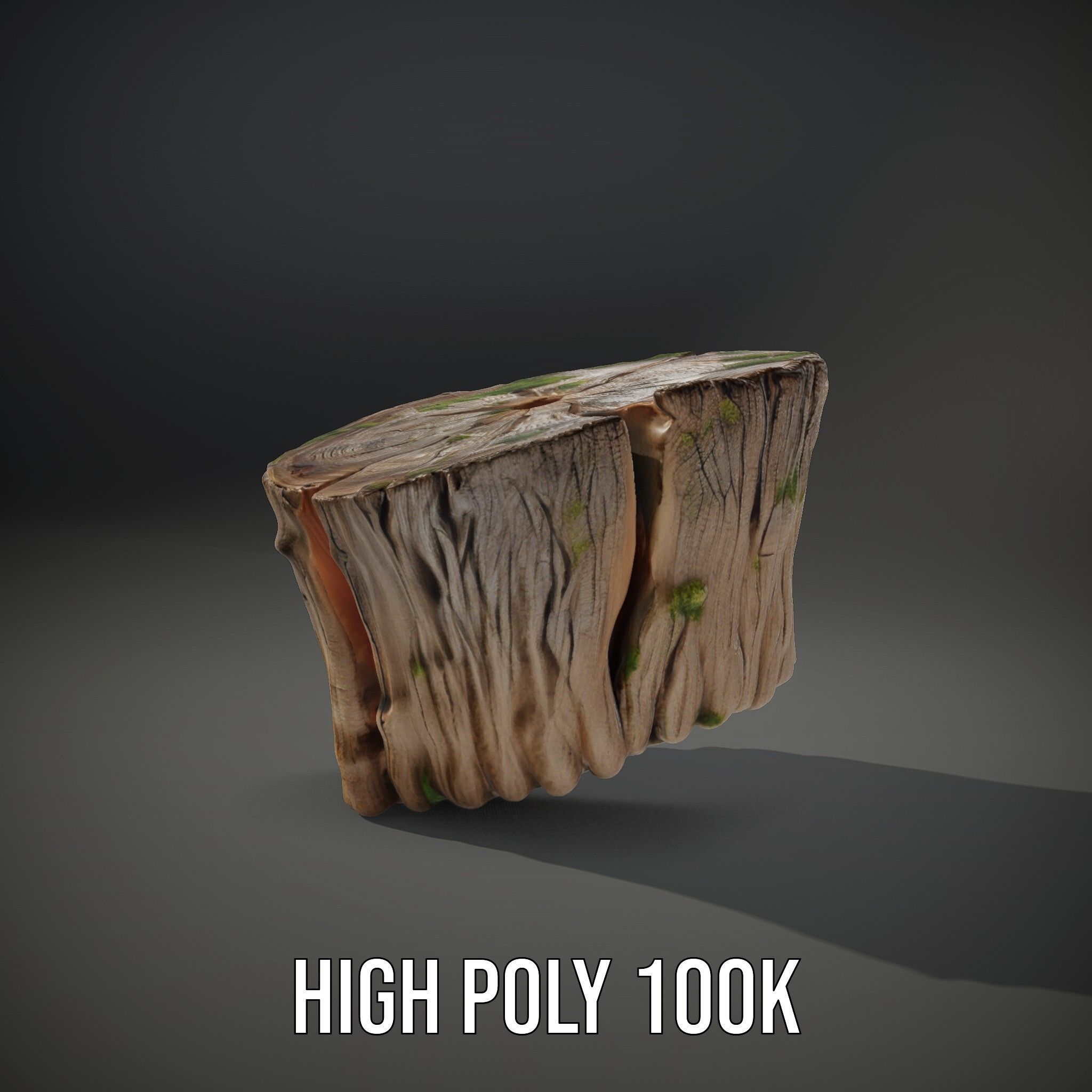 Mossy Tree Stump Model Pack with Natural Texture Low-poly 3D model_8
