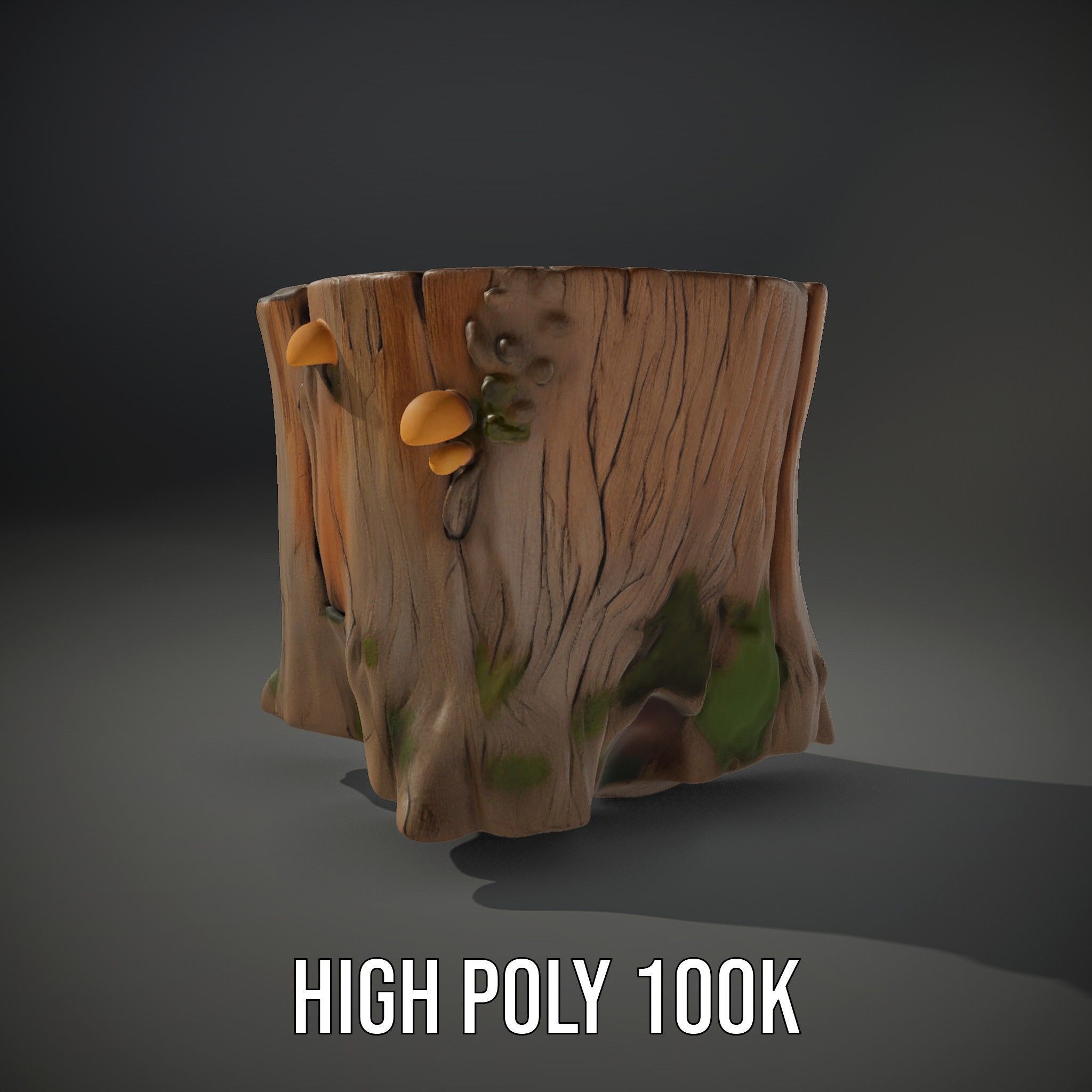 Forest Tree Stump with Moss and Fungi Model Pack Low-poly 3D model_8