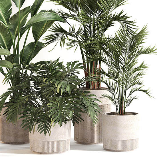 Indoor Plant Set 0156 3D model_3