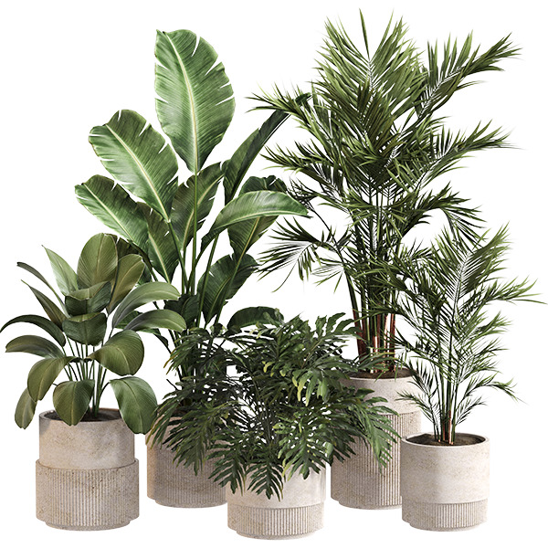 Indoor Plant Set 0156 3D model_1