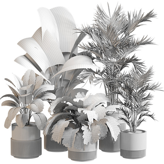 Indoor Plant Set 0156 3D model_5