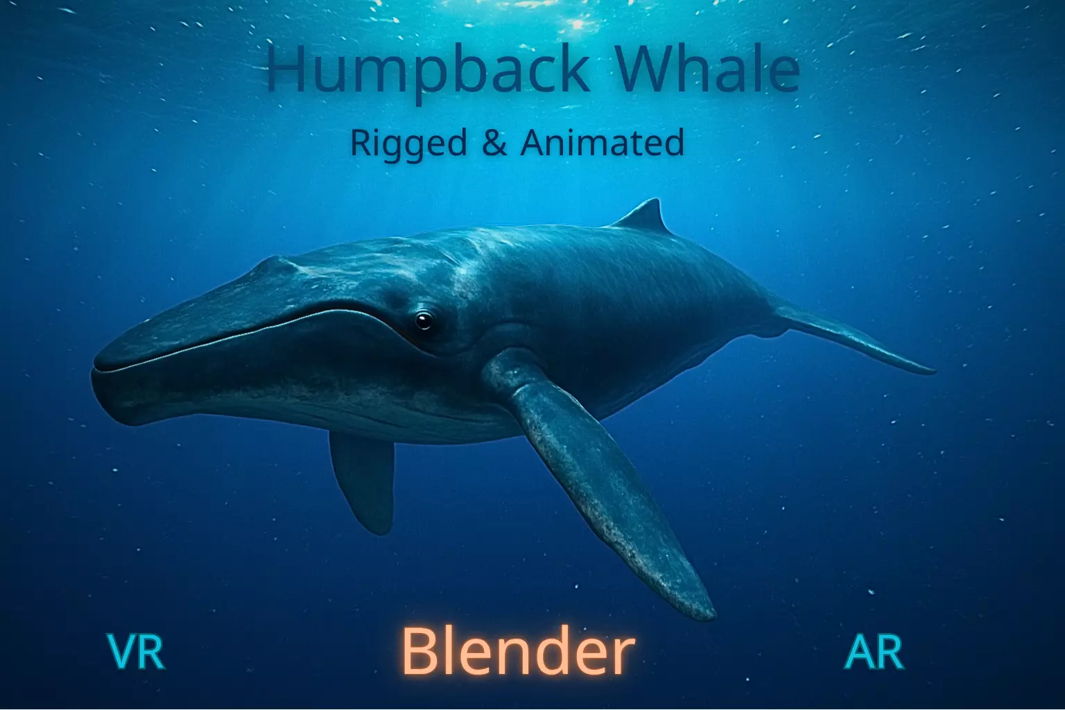 Humpback Whale Rigged Low-poly 3D model