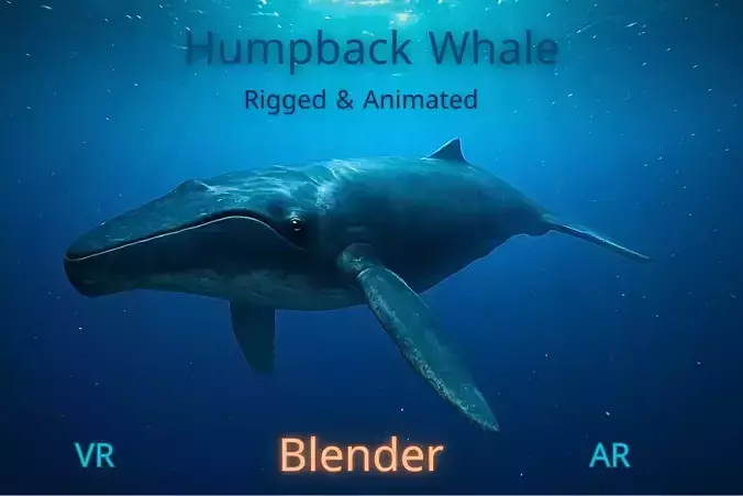 Humpback Whale Rigged