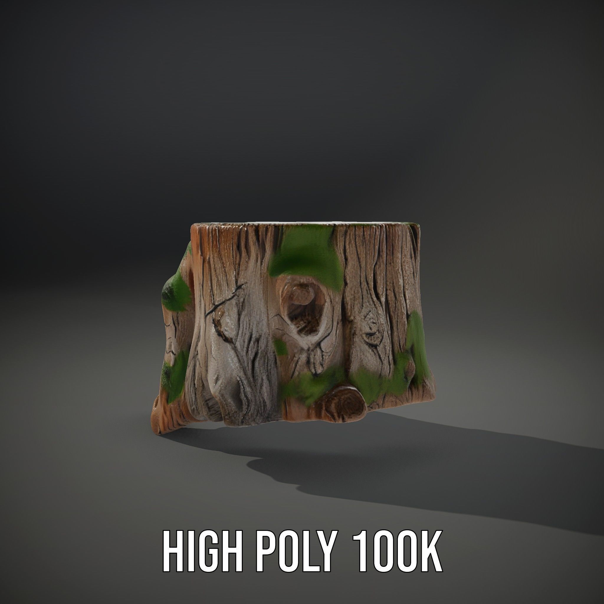 Mossy Tree Stump Model Pack Low-poly 3D model_8
