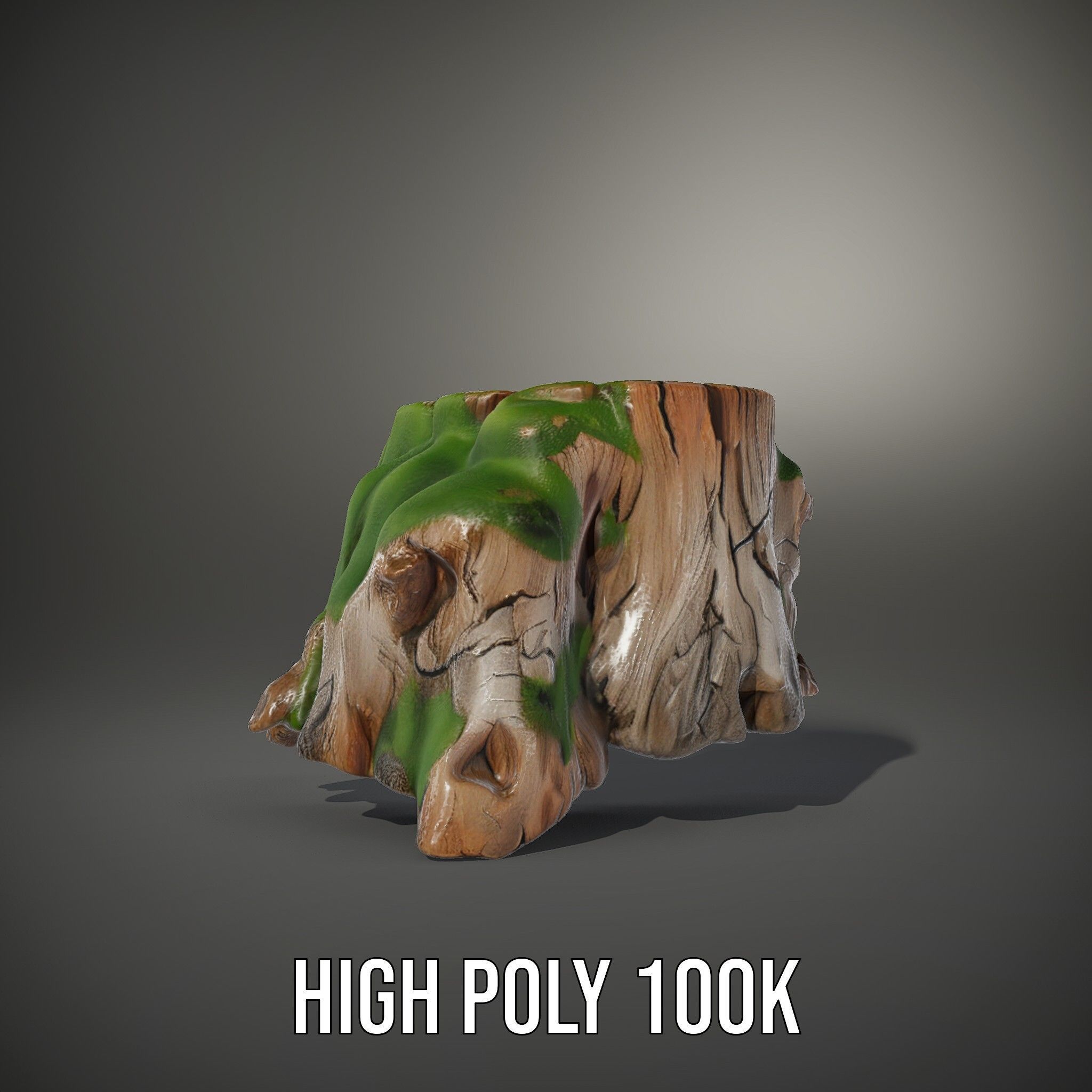 Mossy Tree Stump Model Pack Low-poly 3D model_10