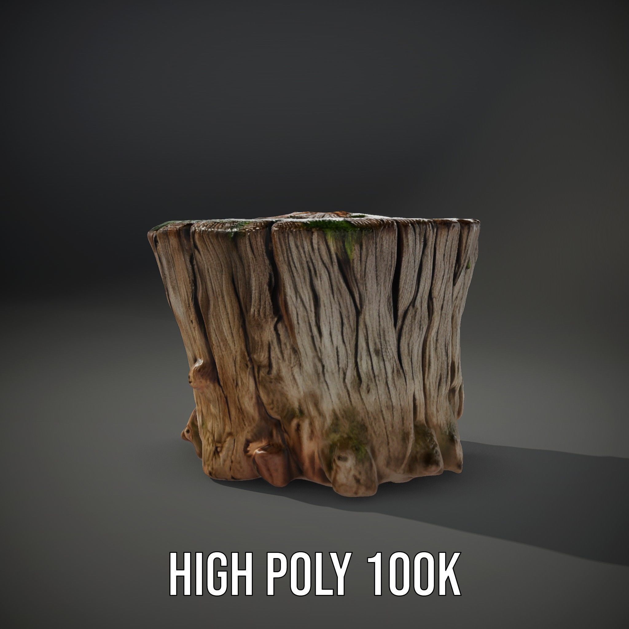 Mossy Tree Stump Model Pack with Natural Details Low-poly 3D model_8