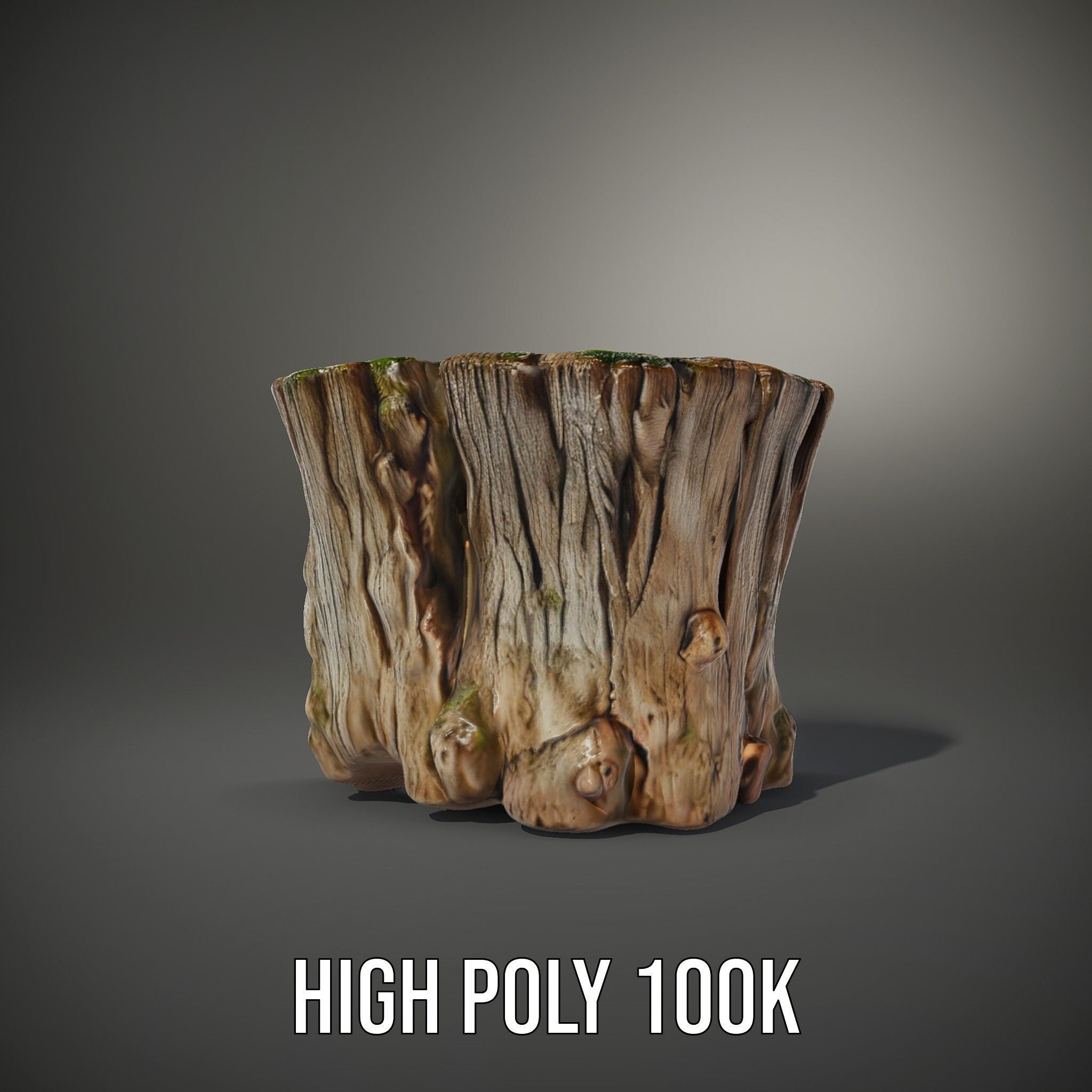Mossy Tree Stump Model Pack with Natural Details Low-poly 3D model_10