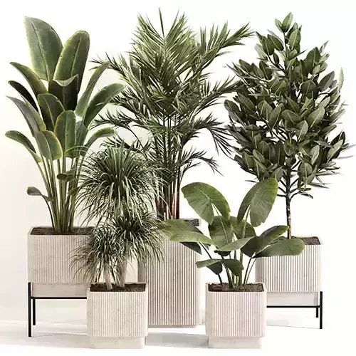Indoor Plant Set 0157 3D model