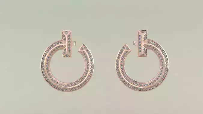 Earrings Tiffany 