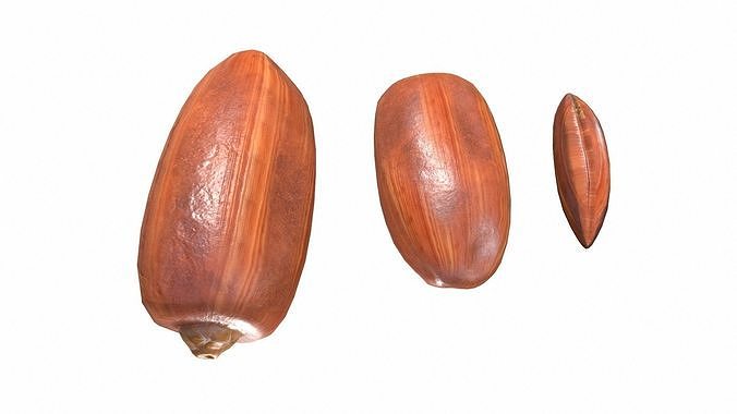 Date Fruit Low-poly 3D model