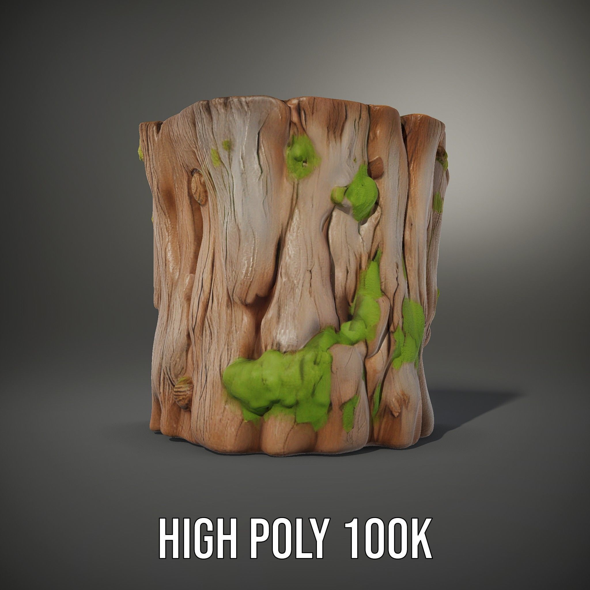Realistic Mossy Tree Stump Model Pack for Natural Environments Low-poly 3D model_8