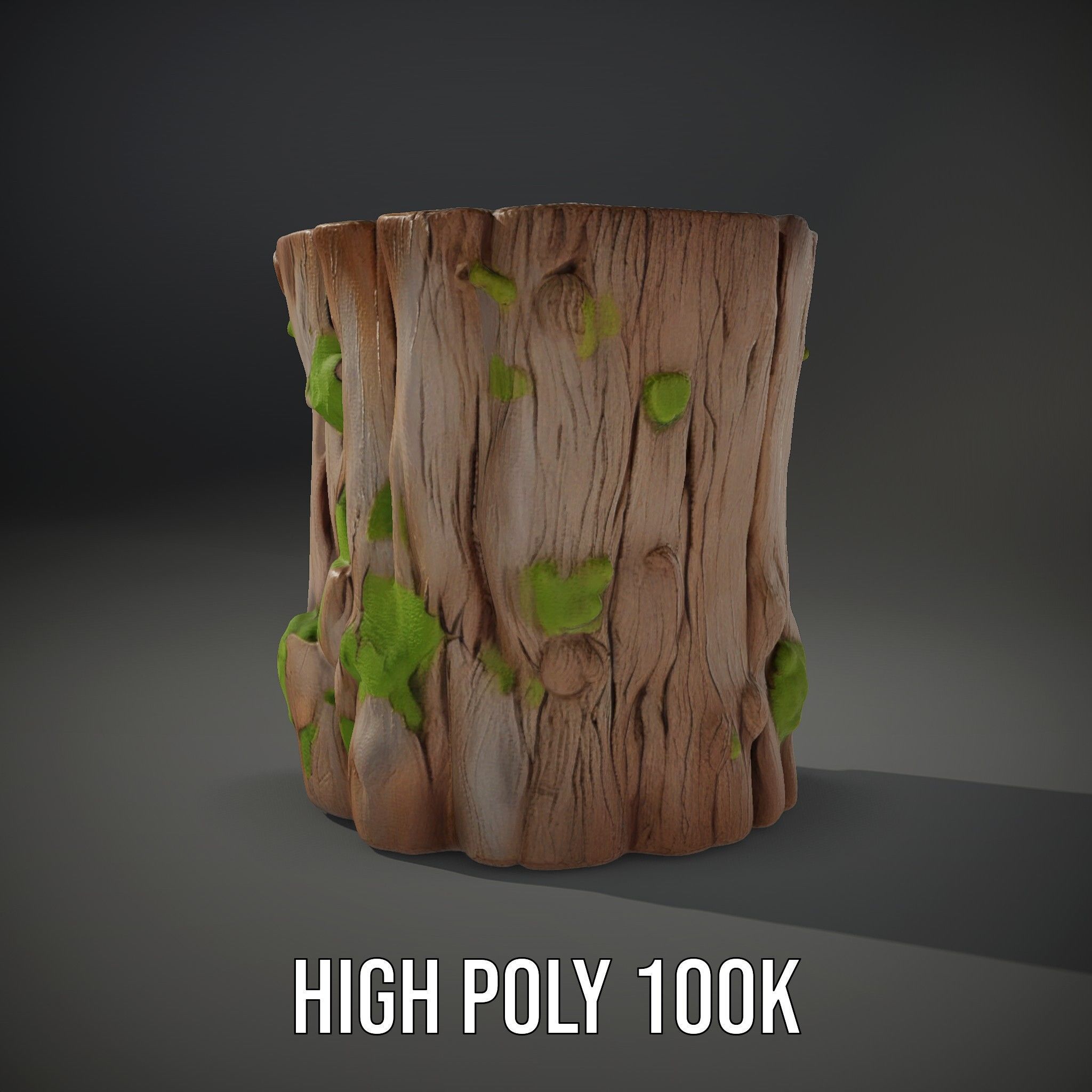 Realistic Mossy Tree Stump Model Pack for Natural Environments Low-poly 3D model_10