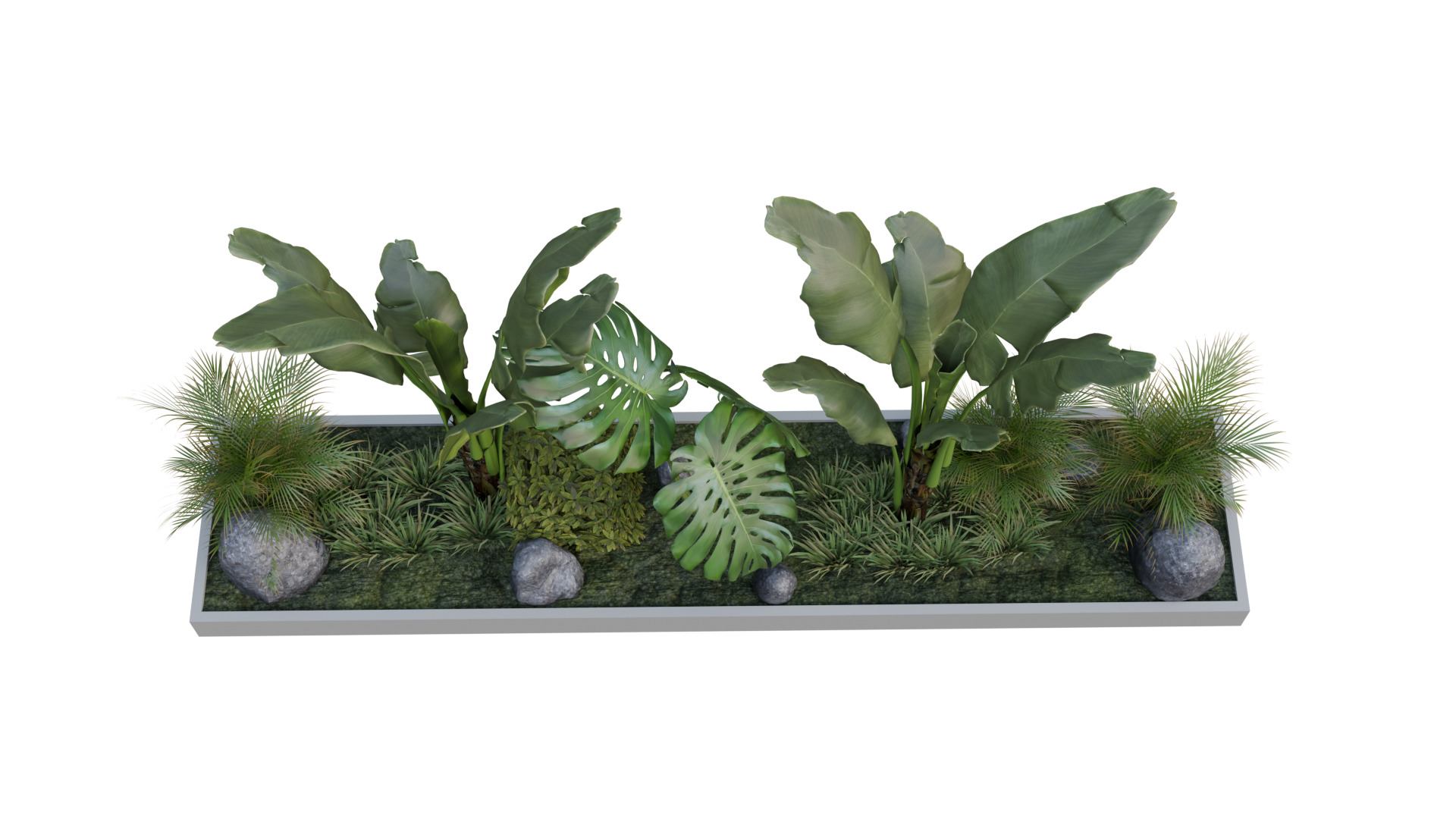 Realistic Potted Plant 3D Model and Low Poly Low-poly 3D model_1