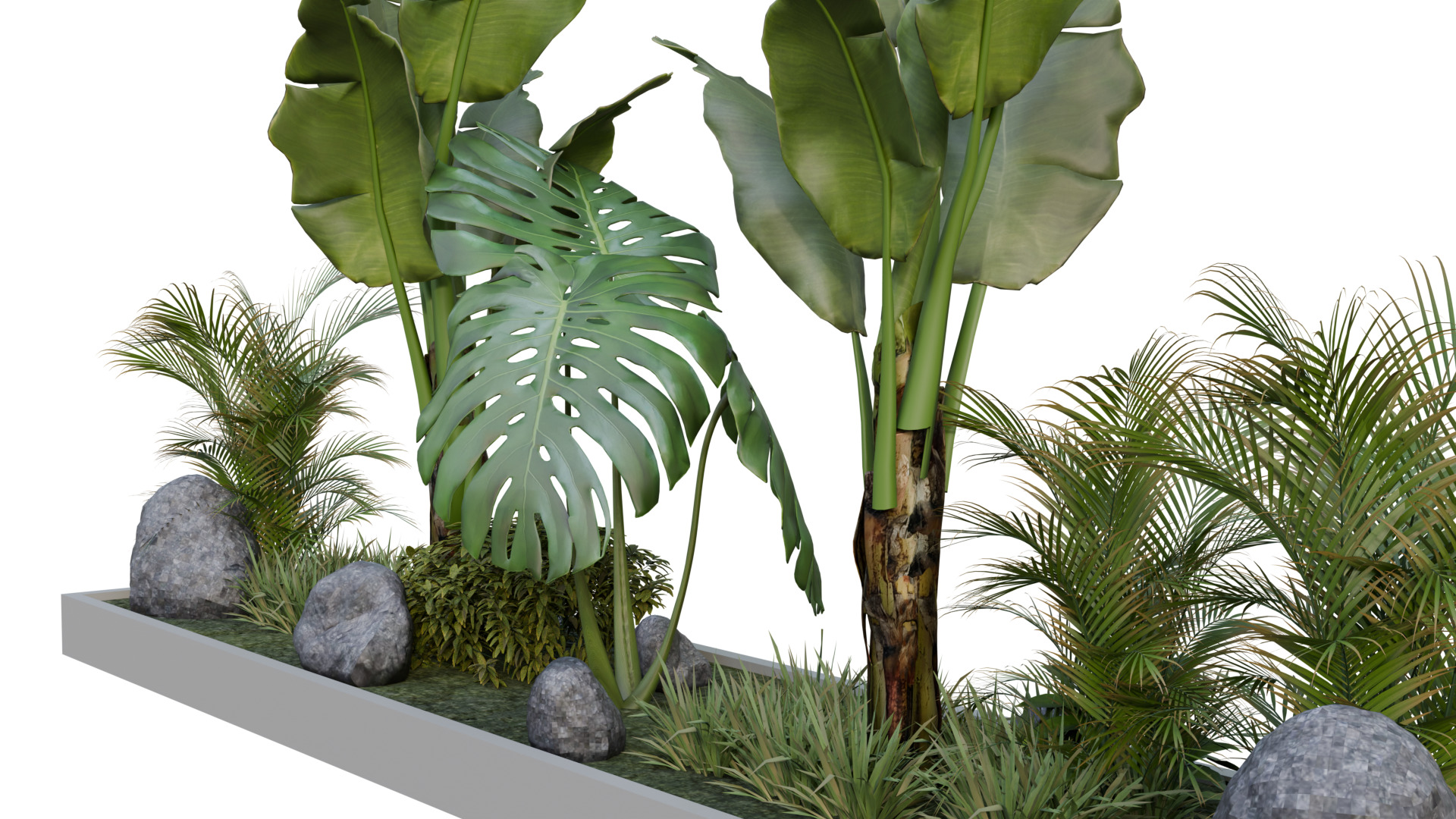 Realistic Potted Plant 3D Model and Low Poly Low-poly 3D model_2