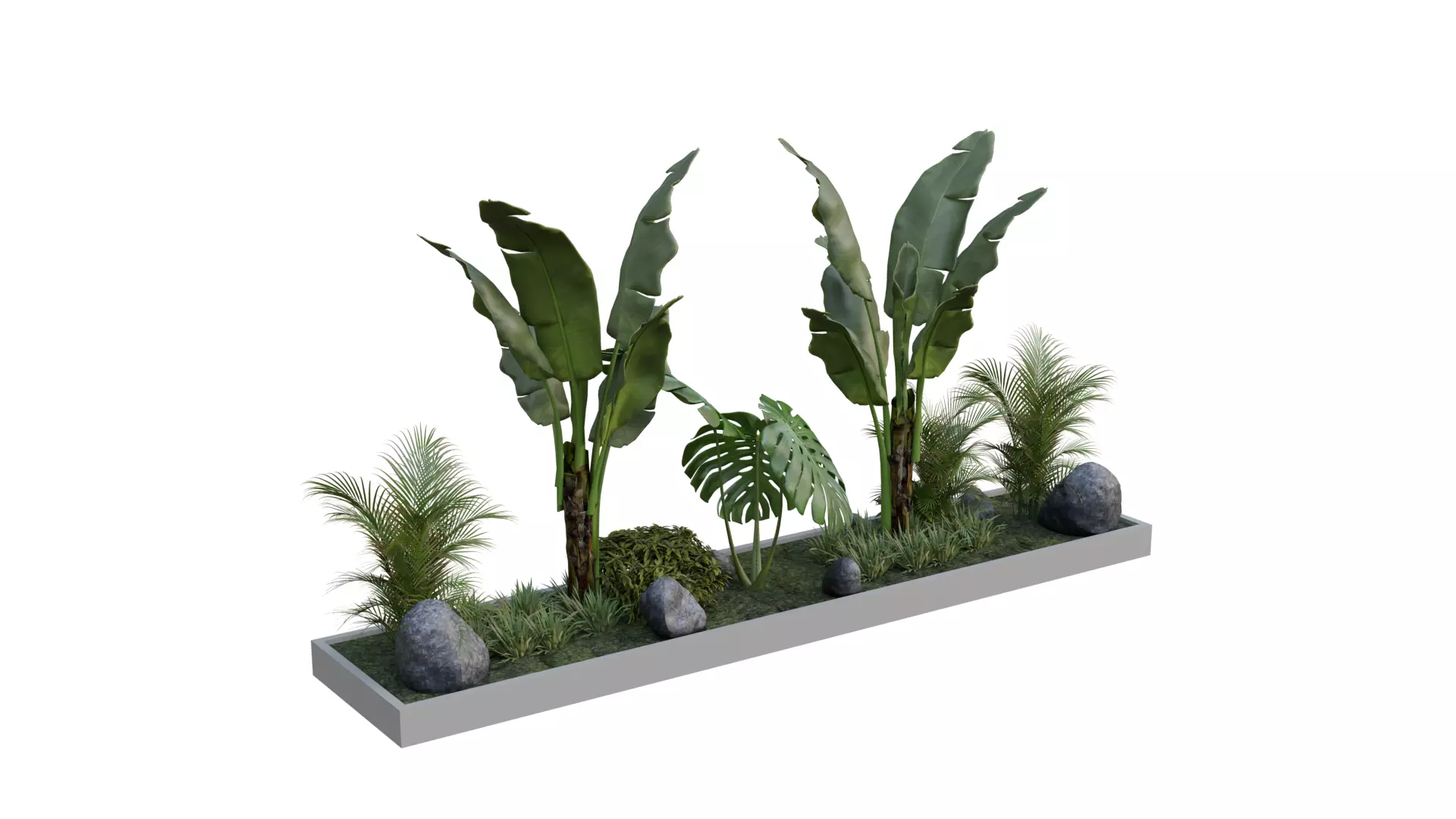 Realistic Potted Plant 3D Model and Low Poly Low-poly 3D model_0