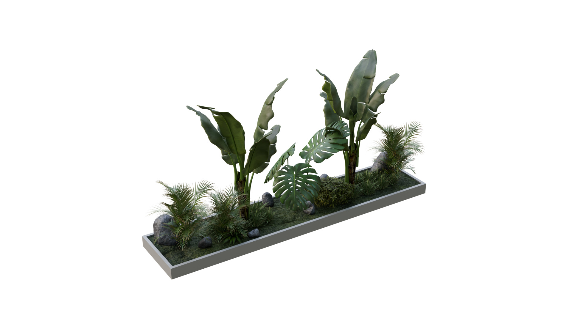 Realistic Potted Plant 3D Model and Low Poly Low-poly 3D model_3