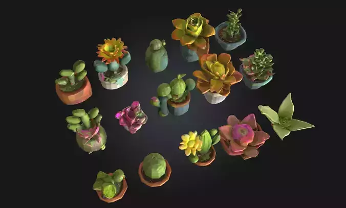 Colorful Cactus Collection  Vibrant Touch of Desert Life