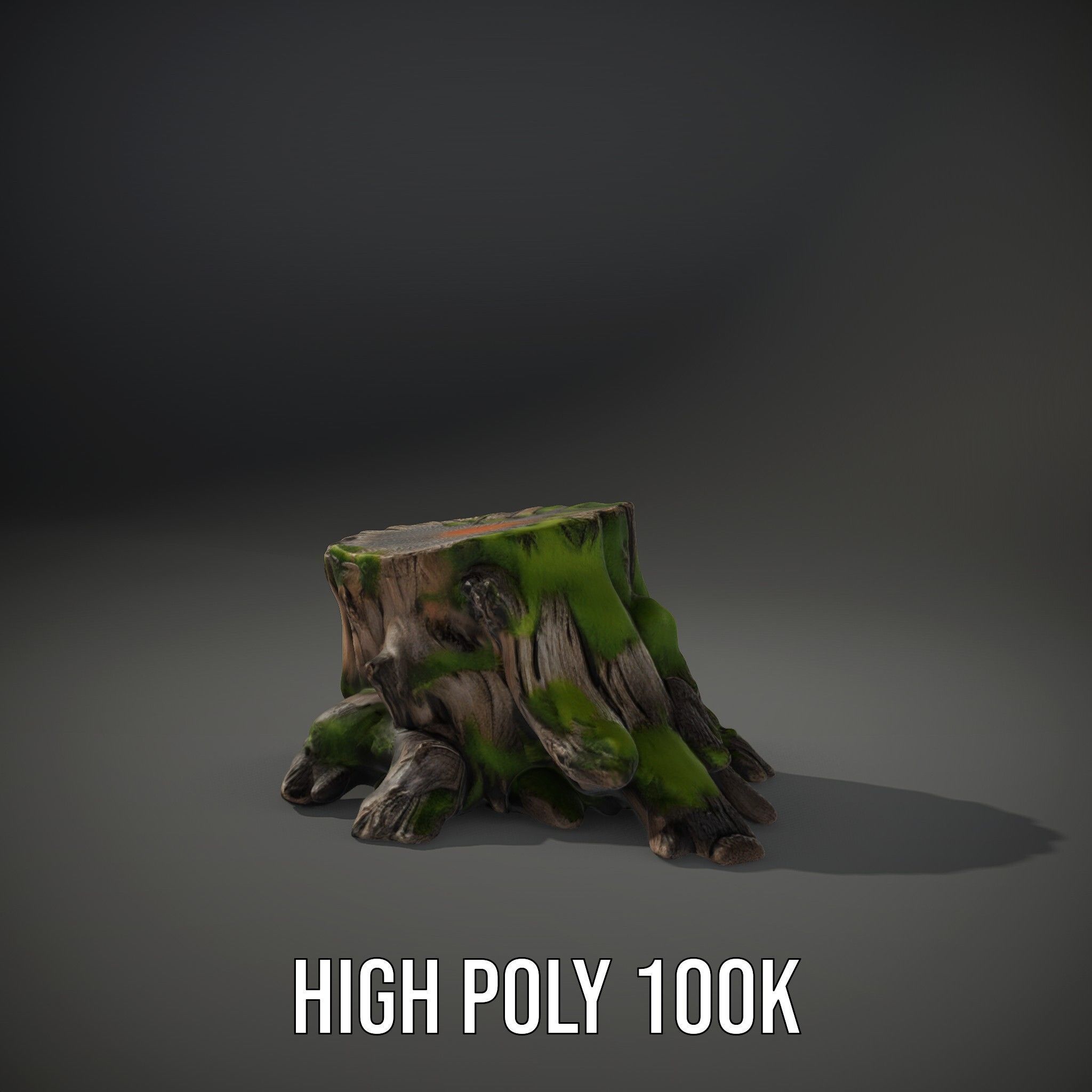 Mossy Tree Stump with Detailed Texture Model Pack Low-poly 3D model_10