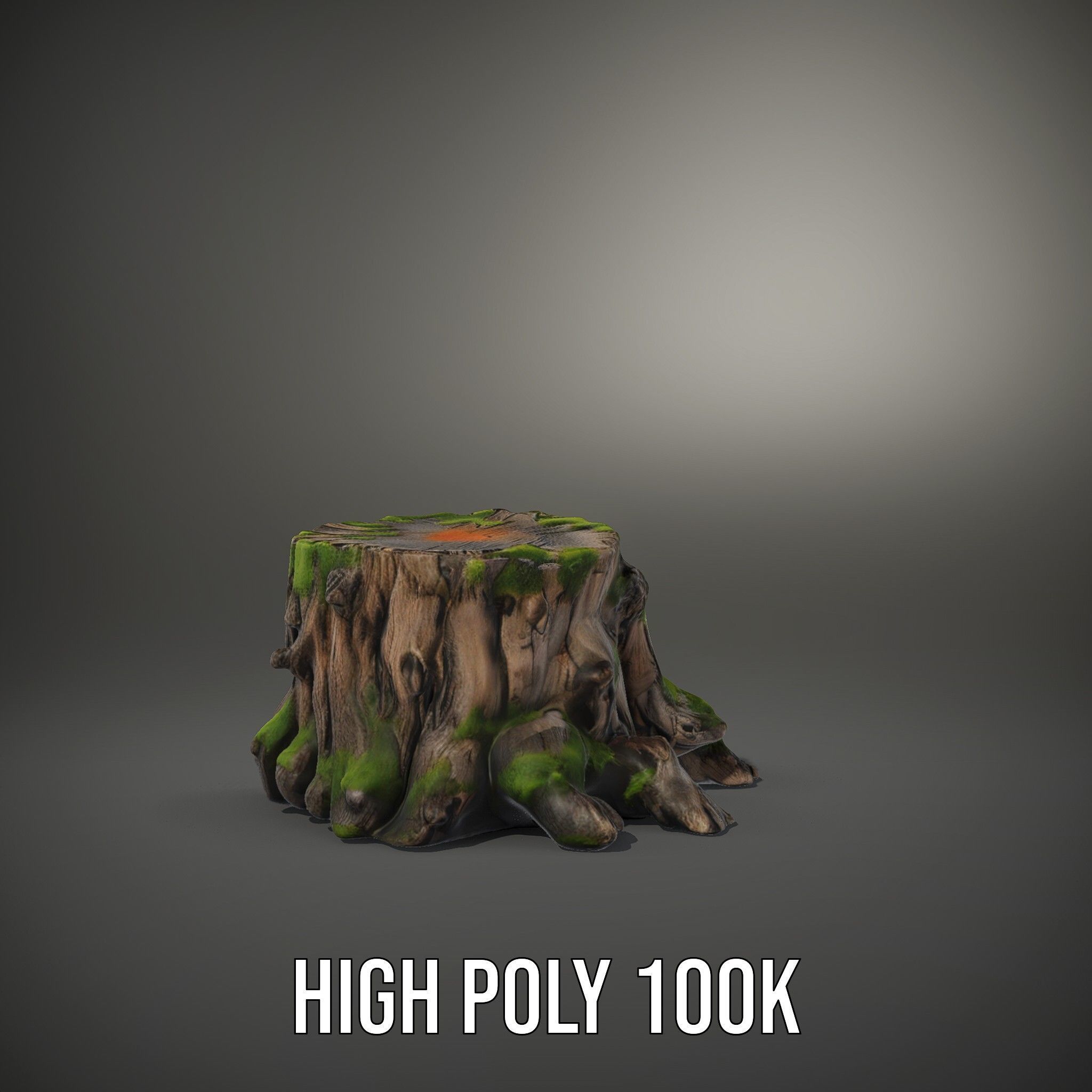 Mossy Tree Stump with Detailed Texture Model Pack Low-poly 3D model_8
