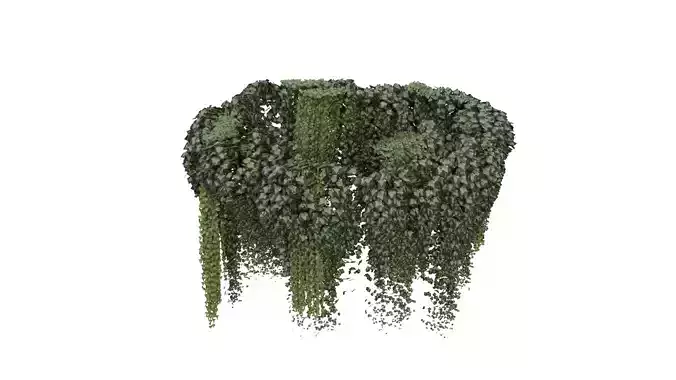 Hanging Ceiling Plant 3D Model 