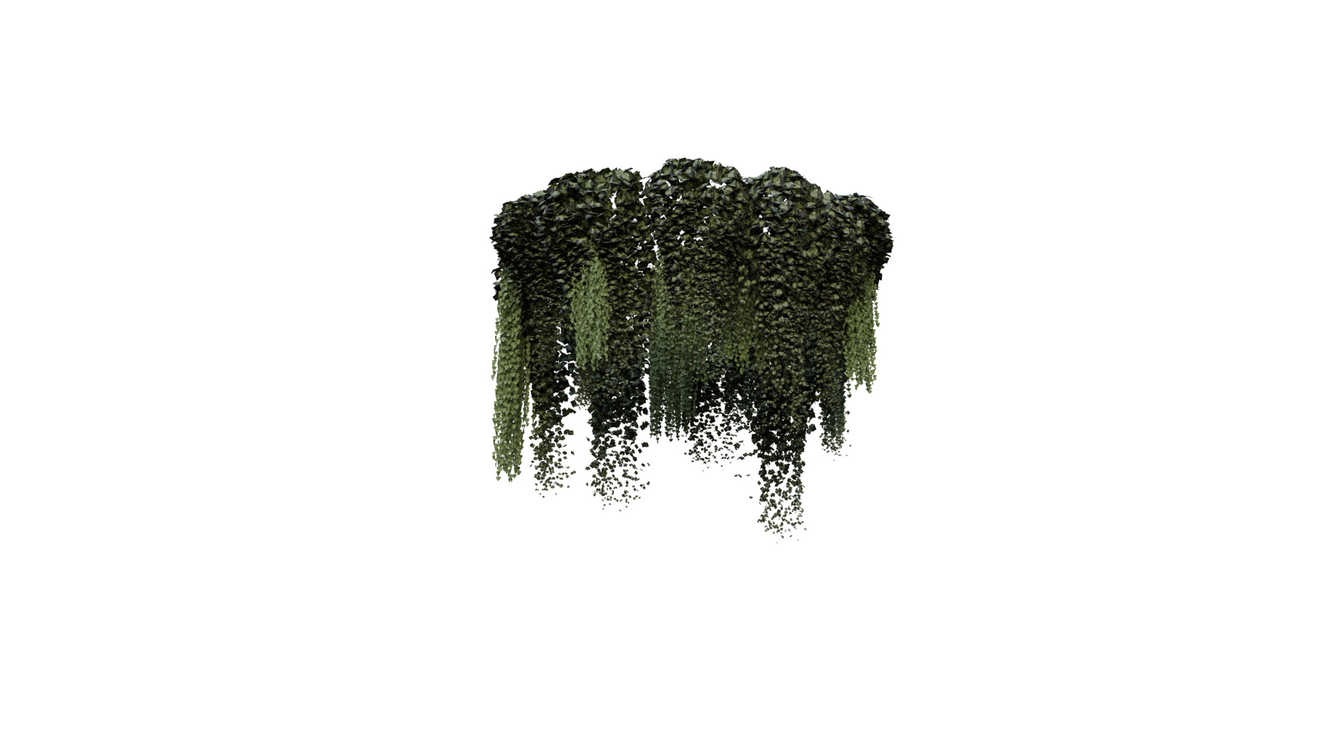 Hanging Ceiling Plant 3D Model  Free low-poly 3D model_1