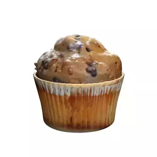 Muffin 16  