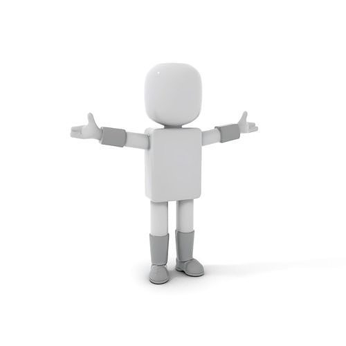 Basic Rigged and Animated D Blocky Character Model Low-poly 3D model