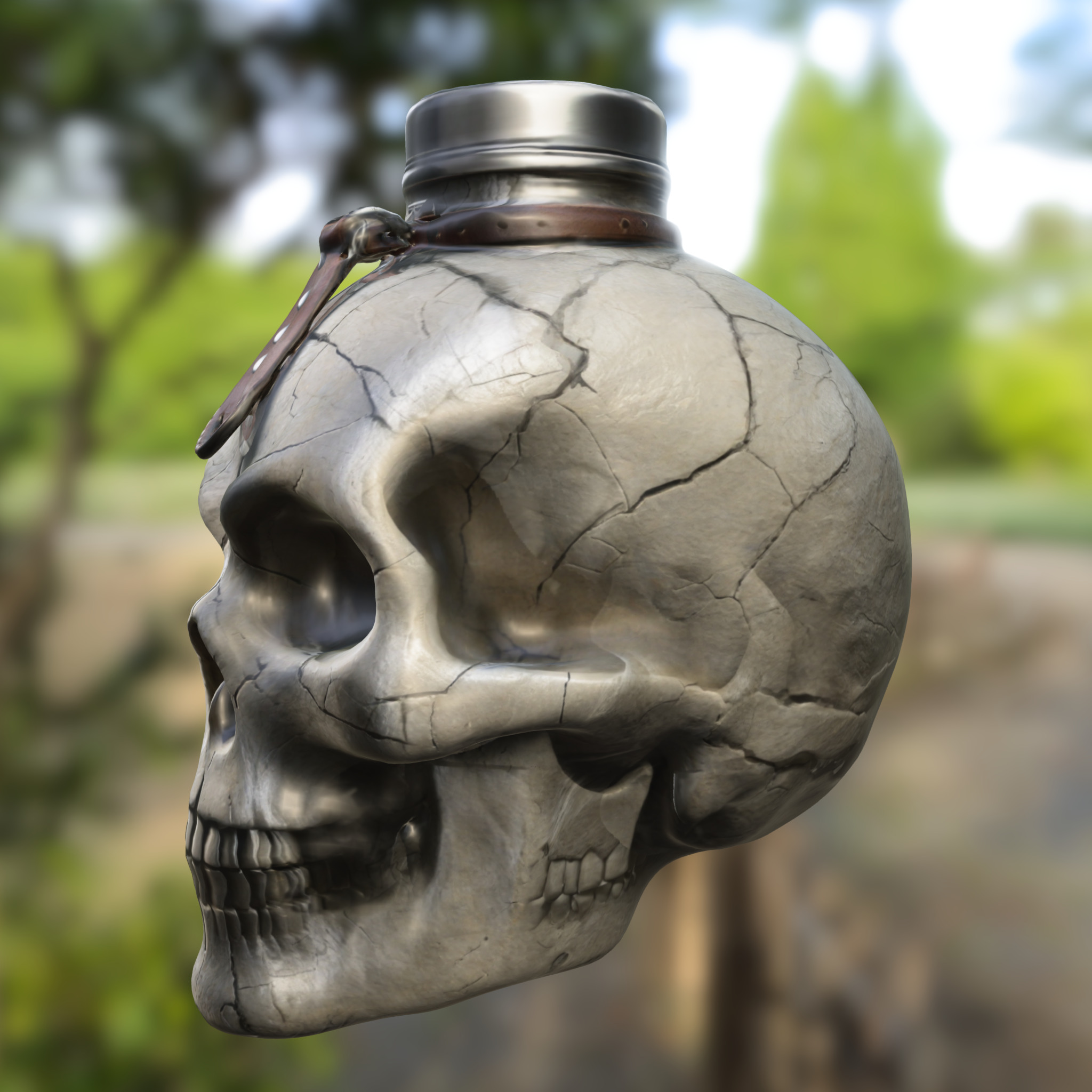 Skull Flask  Potion Bottle  3D model_2