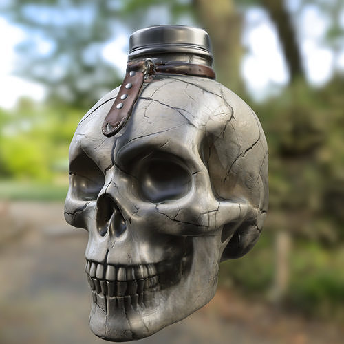 Skull Flask  Potion Bottle  3D model