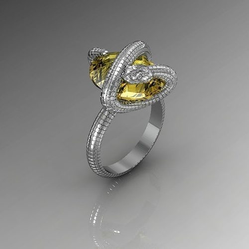 ring sneak 3D print model