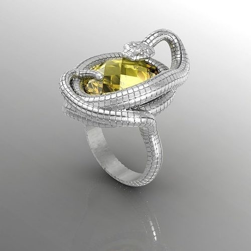 ring sneak 3D print model