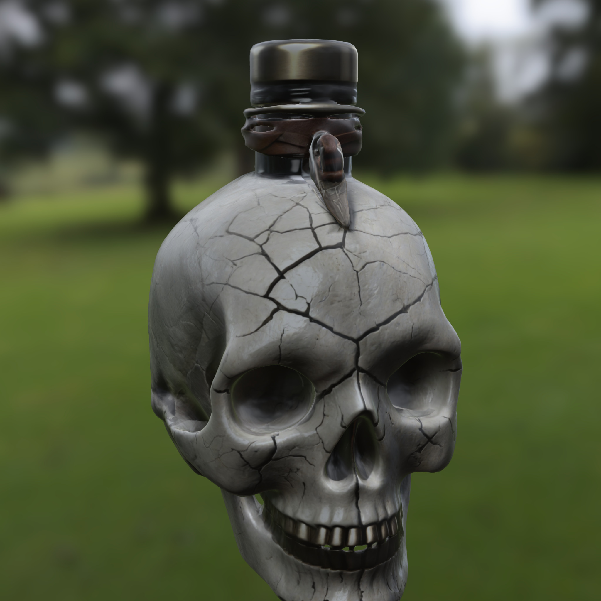 Cracked Skull Potion Bottle 3D model_1