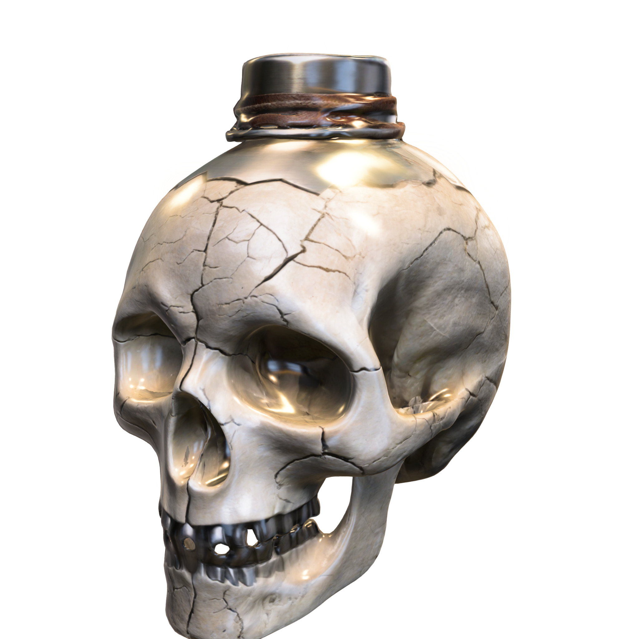 Side-Cracked Skull Flask 3D model_1