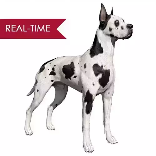 Great Dane Real-Time Low-poly 3D model
