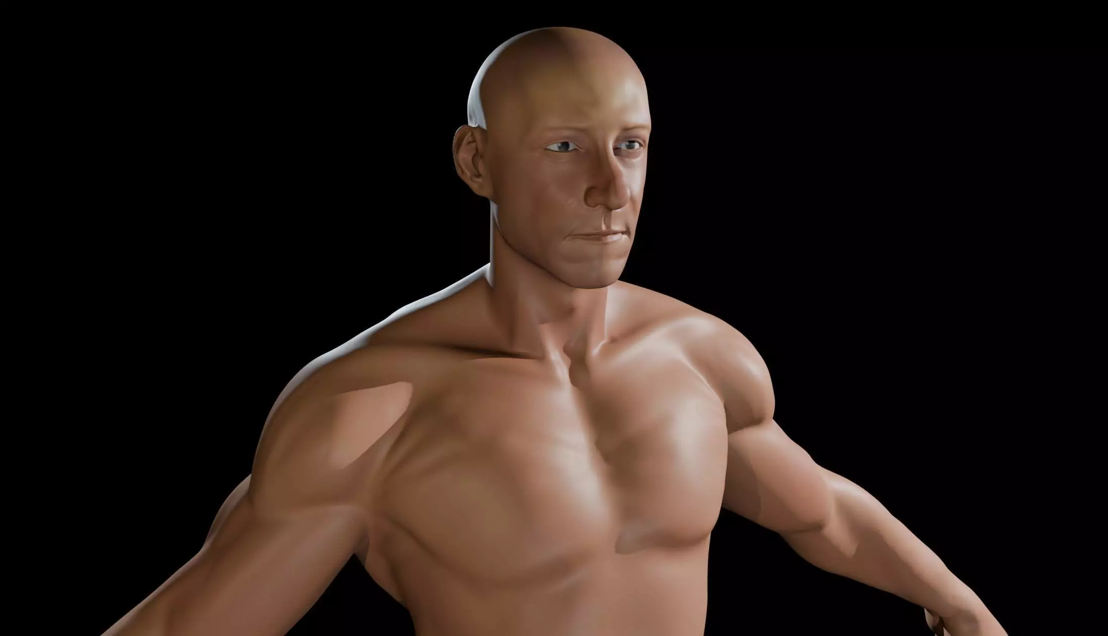Male Anatomy 3D Sculpted Model Free 3D model